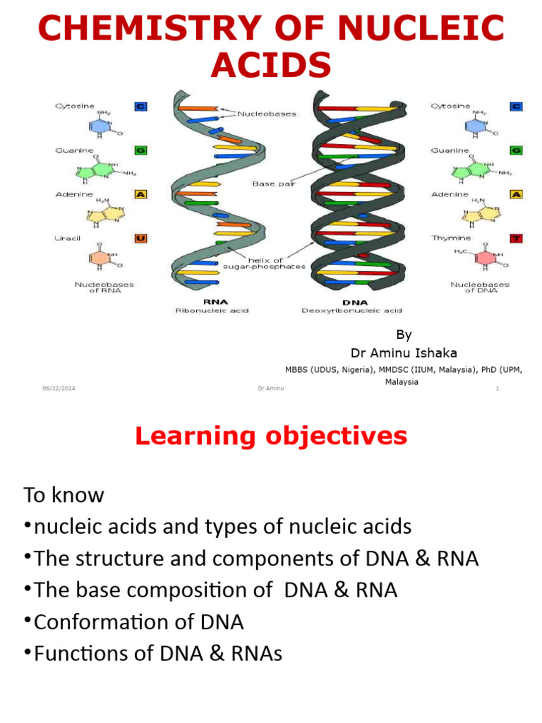 Chemistry of Nucleic Acids Explained | PDF | Nucleic Acids | Dna