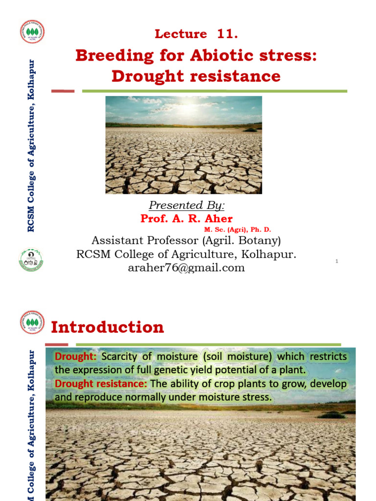 Breeding For Abiotic Stress Drought Resistance | PDF | Leaf | Drought
