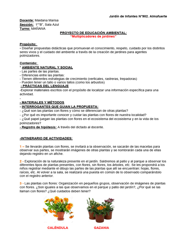 Proyecto Las Plantas de Mi Jardin 2024 | PDF | Plantas | Polinización