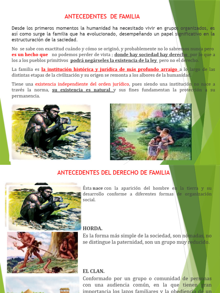 Evolución y Derecho de Familia en Nicaragua | PDF | Familia | Parentesco