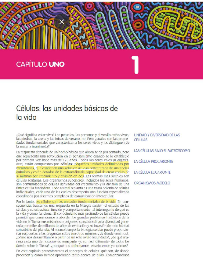 Capitulo I | PDF