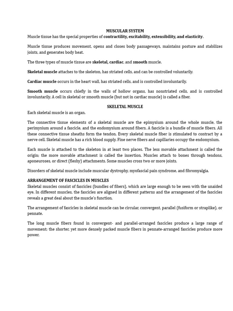 Muscular System Pdf Muscle Skeletal Muscle