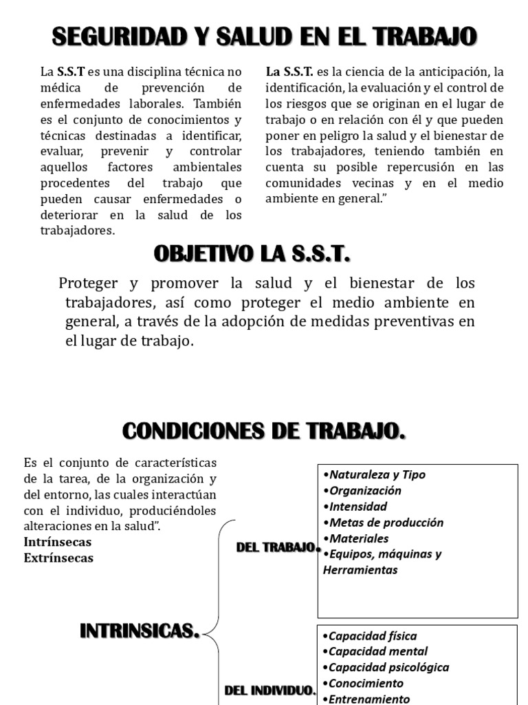 Seguridad y Salud en el Trabajo | PDF