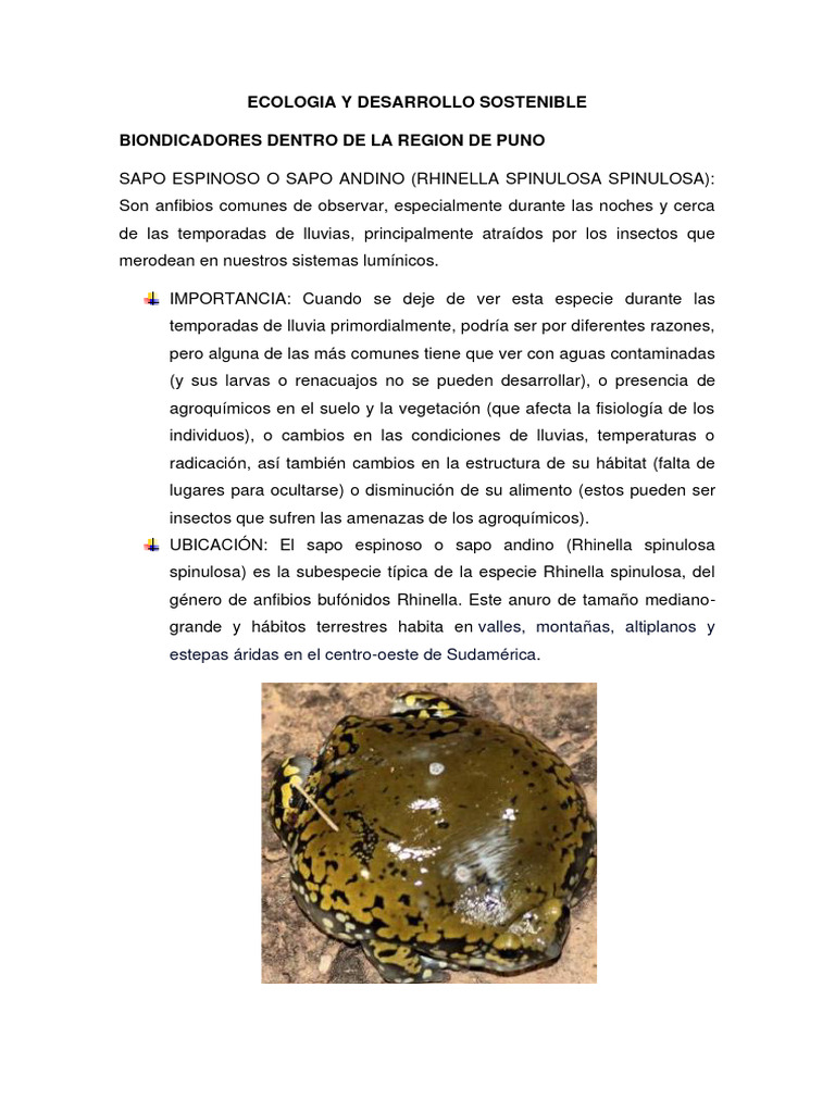 Bioindicadores de Ecología en Puno | PDF | Rana | Residuos