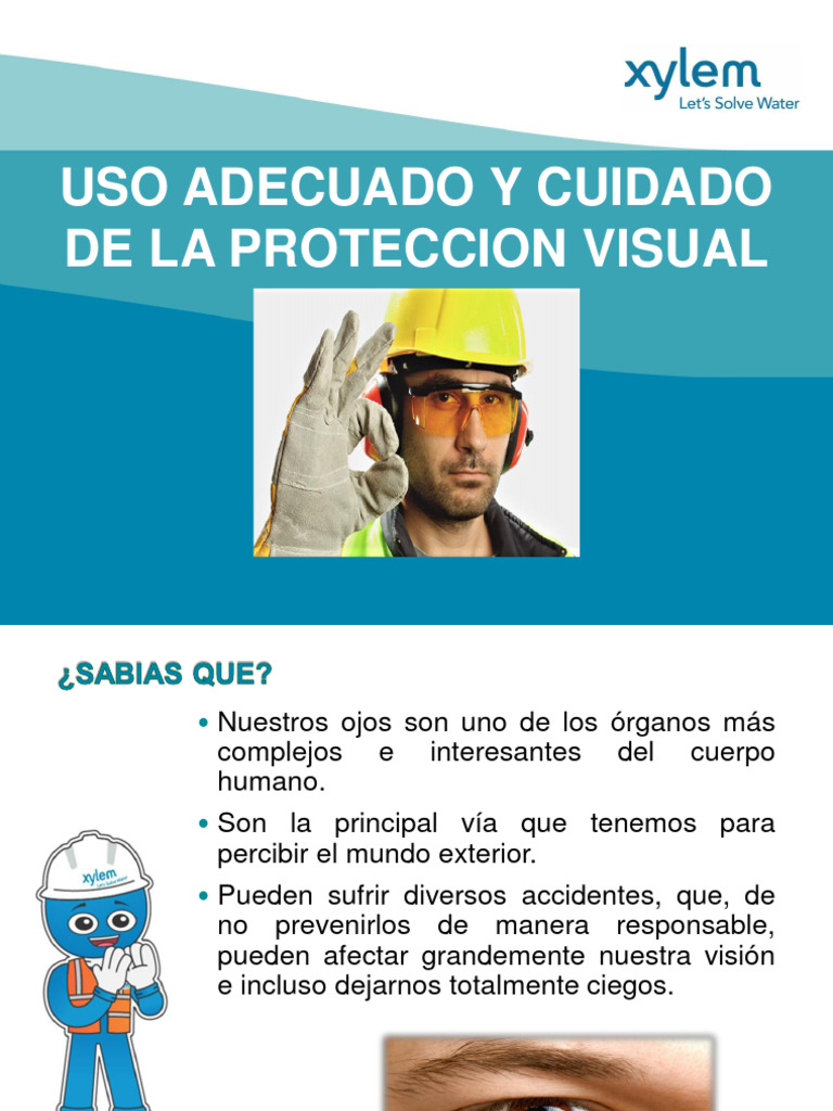 Cuidado y Uso de Protección Visual | PDF | Lentes