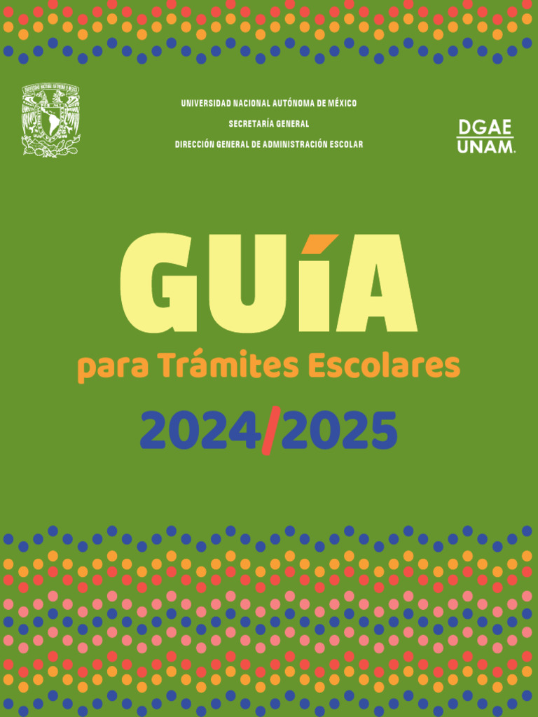 manual-otros-tipos-ingreso-2024-pdf-ingenier-a-inform-tica