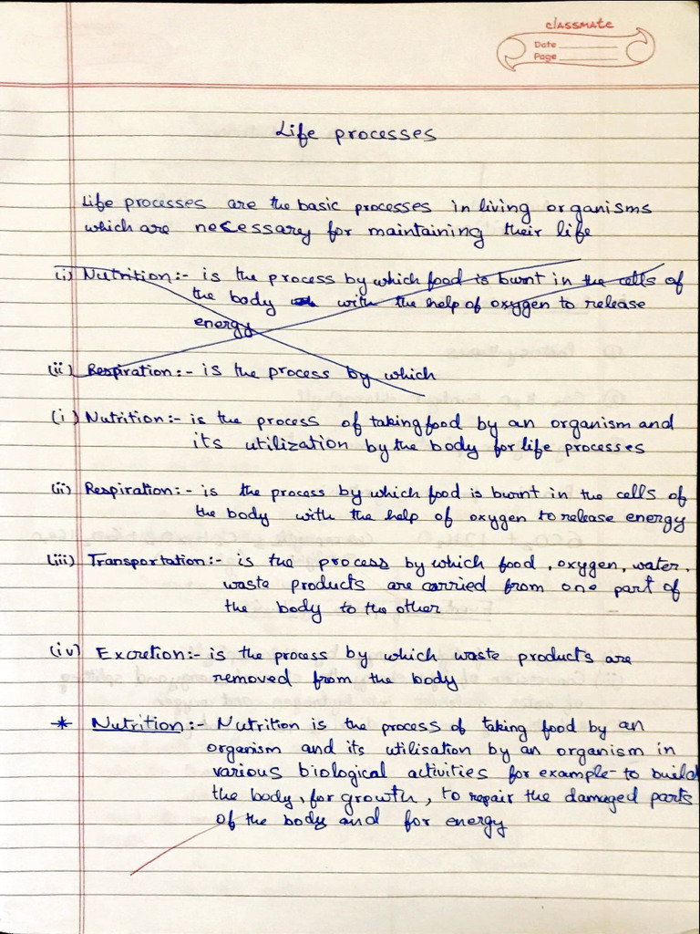 Bio Notes | PDF