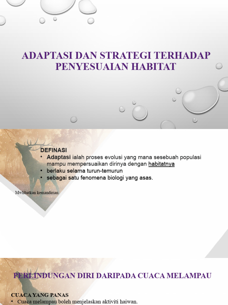 Adaptasi Strategi Terhadap Penyesuaian Habitat | PDF