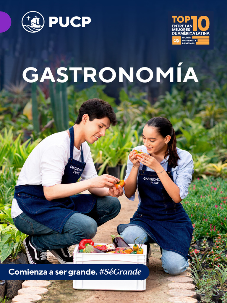 Gastronomía Pucp | PDF | Artes culinarias | Plan de estudios