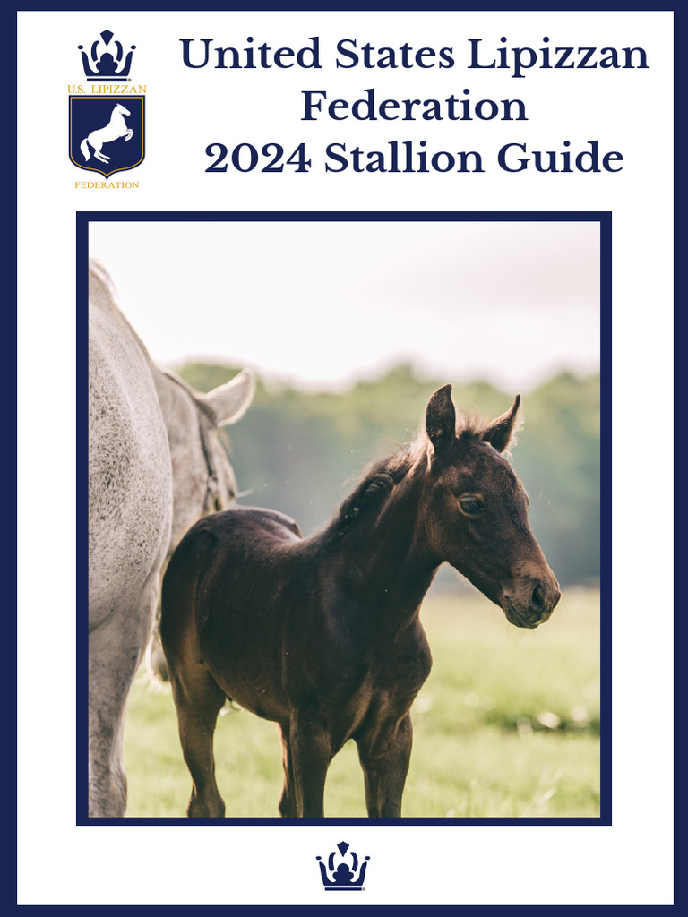 2024 Stallion Guide | PDF | Horse Breeding | Horses