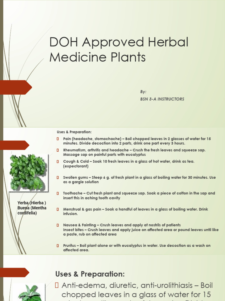 doh-approved-herbal-medicine-plants-powerpoint-pdf-diseases-and