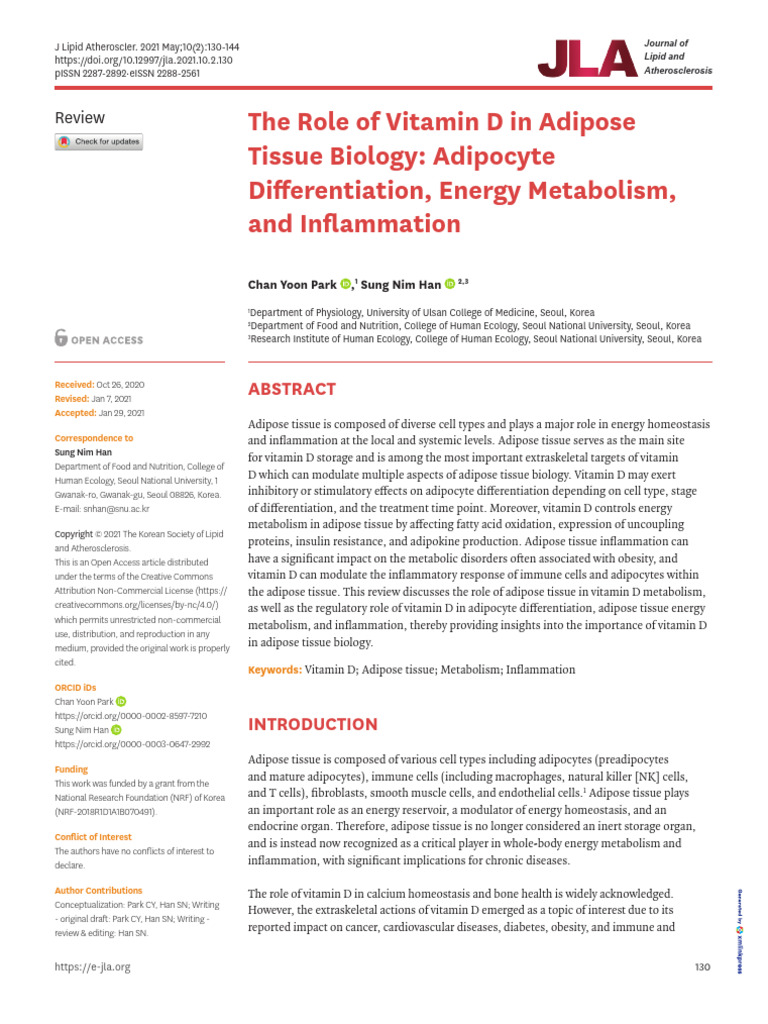 The Role of Vitamin D in Adipose Tissue Biology Ad | PDF | Macrophage ...
