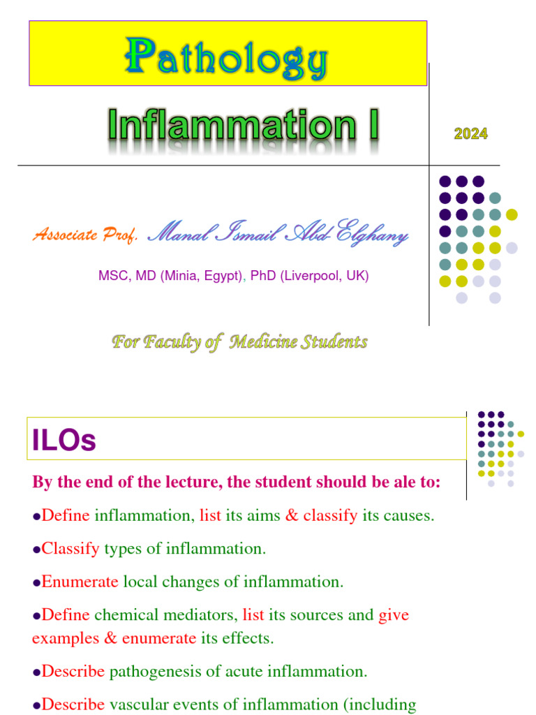 Ed Inflammation I Merit DR - Manal 2024 | PDF | Inflammation | Blood Vessel