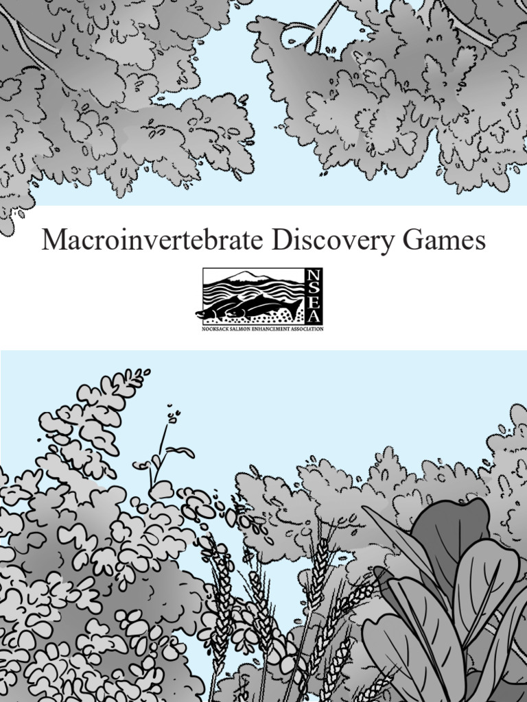 Macroinvertebrate Identification Games | PDF | Invertebrate | Insects