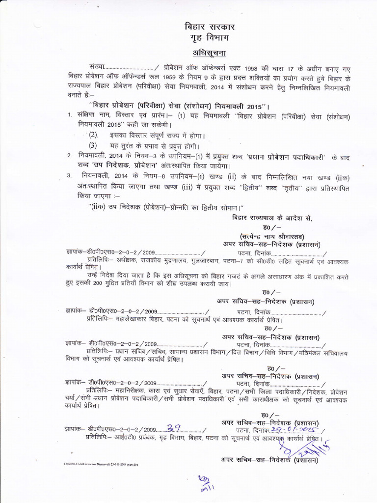 Bihar Probation Service Overview | PDF