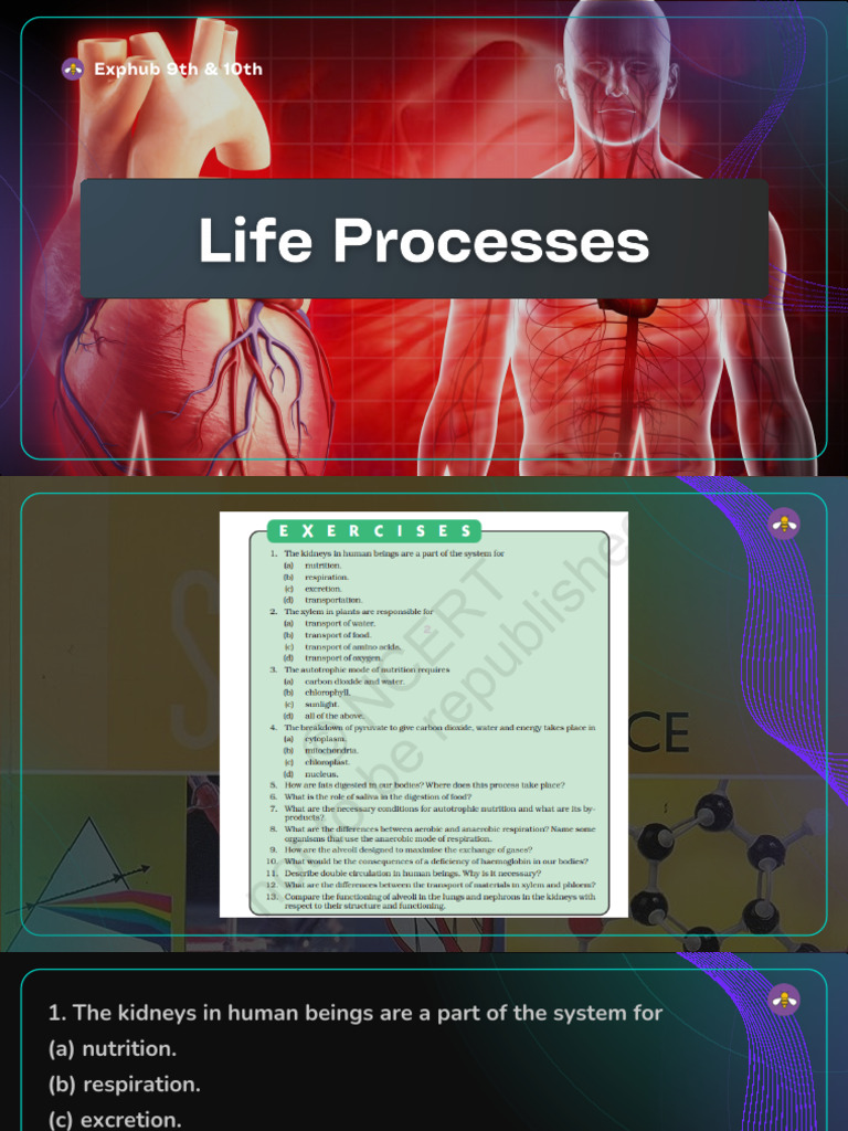 Class 10 Life Processes Q&A Guide | PDF | Cellular Respiration | Saliva