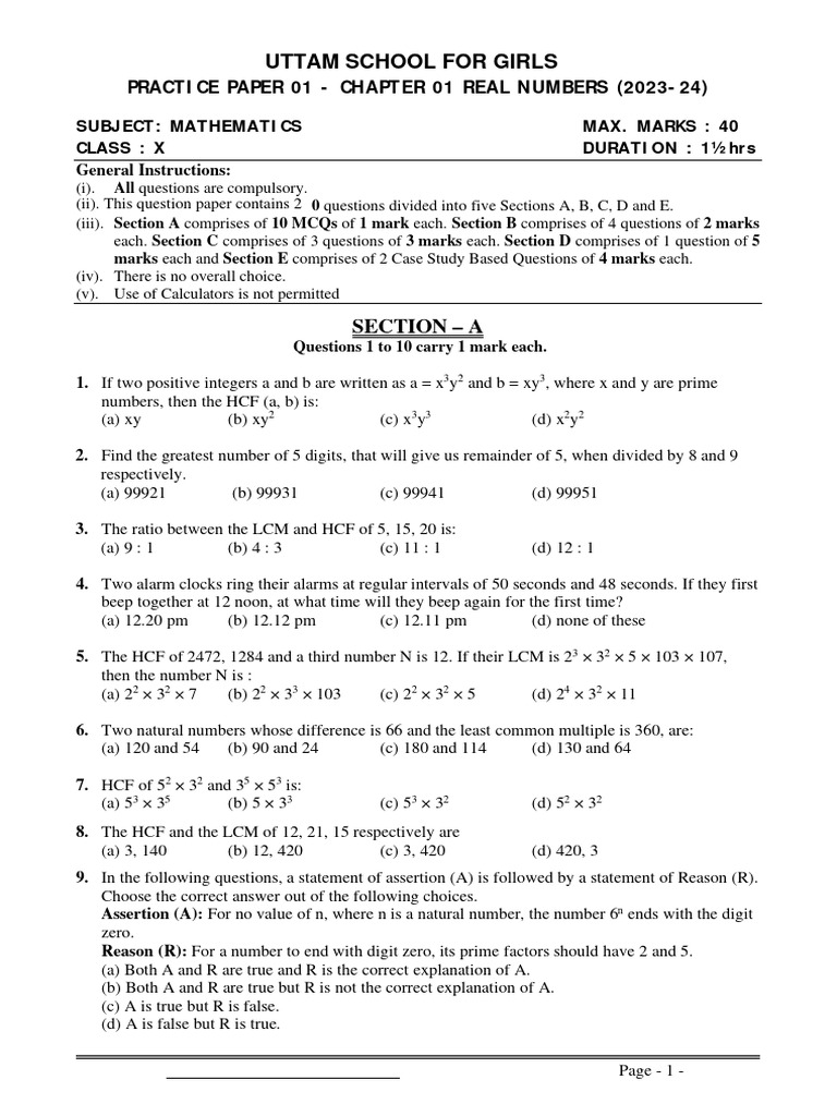Maths Class X Chapter 01 Real Numbers Practice Paper 01 | PDF | Numbers ...