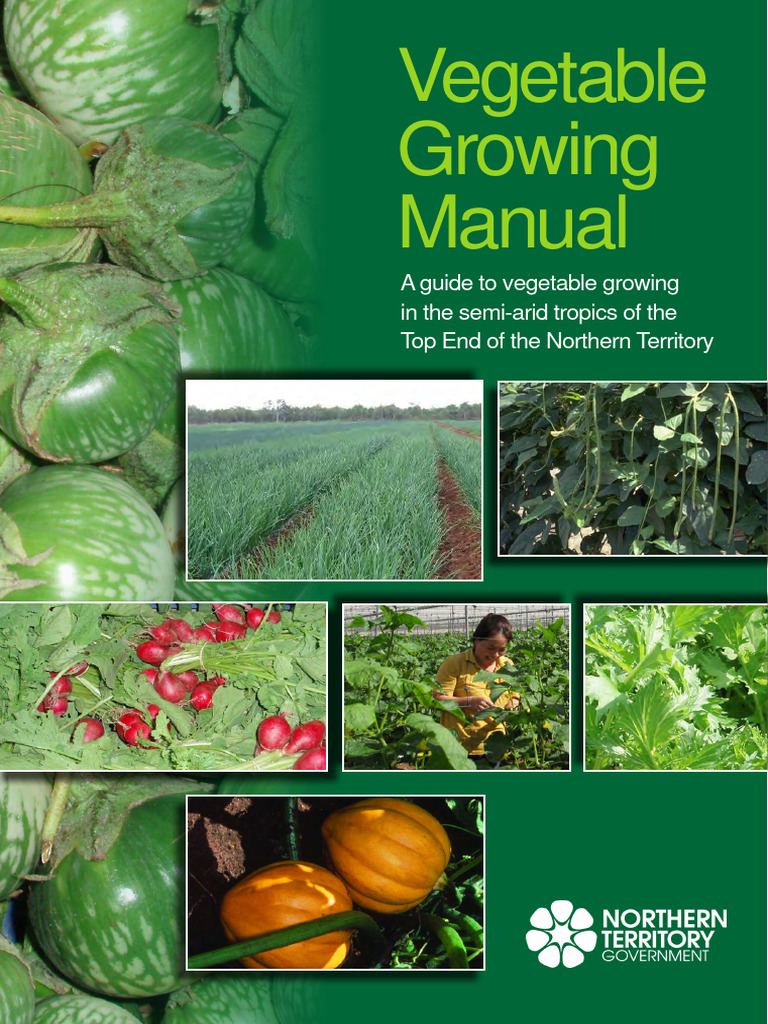 Vegetable Growing Guide for NT | PDF | Soil | Sowing