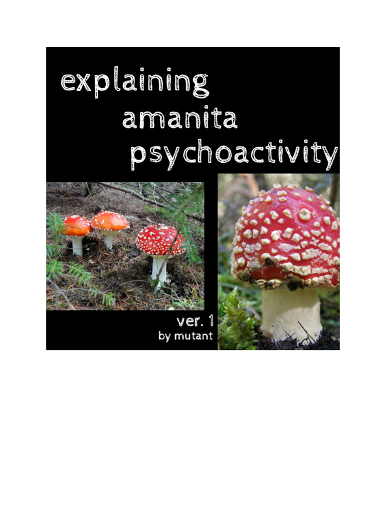 Explaining Amanita Psychoactivity Ver1 | PDF | Edible Mushroom | Dose ...