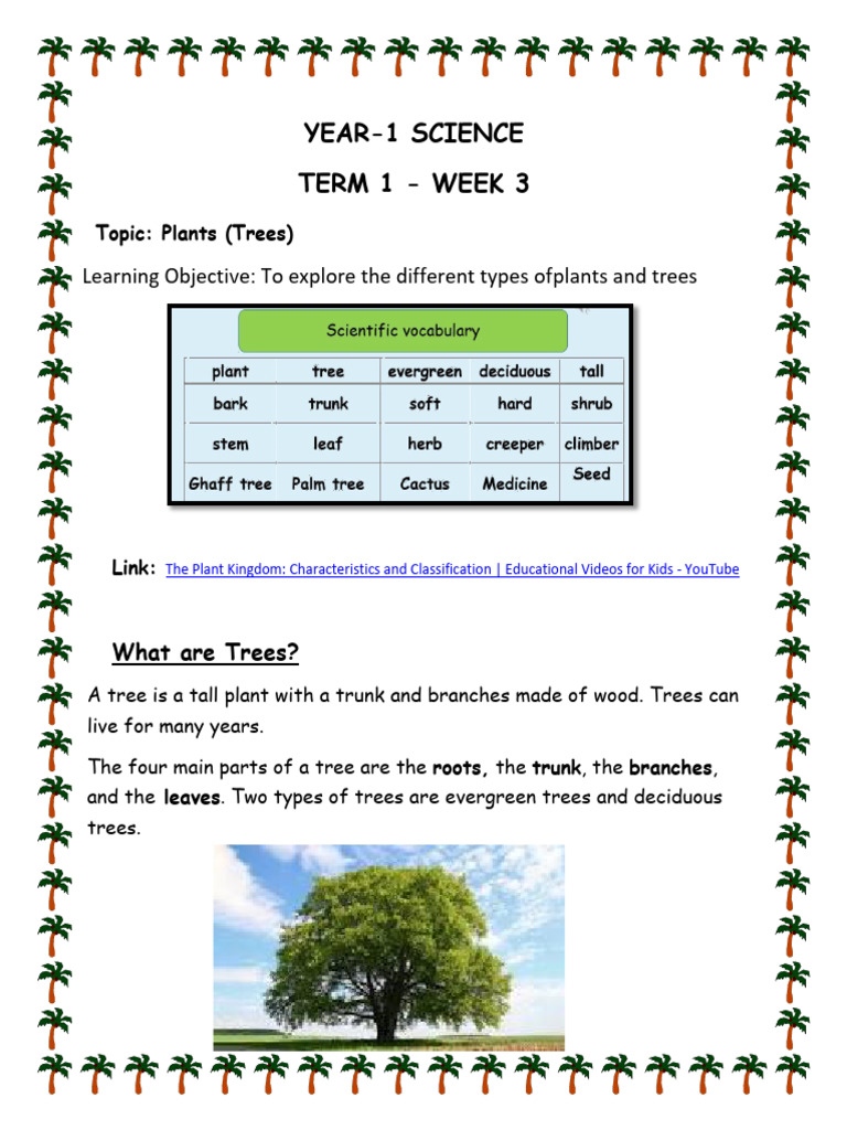 Week 3 Science Resources-Trees | PDF | Language Arts & Discipline