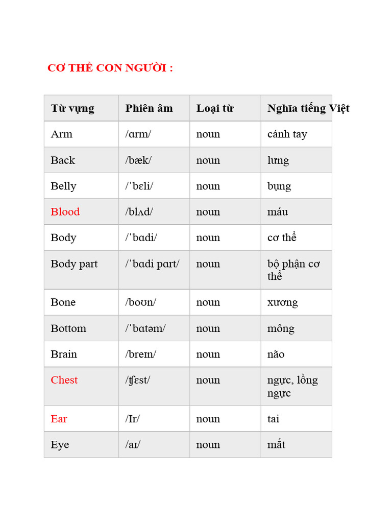 Vocabulary English Pdf