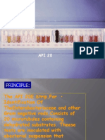 Api 20