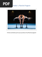 Tracy's Turtle Programming Guide | PDF | Computer Graphics