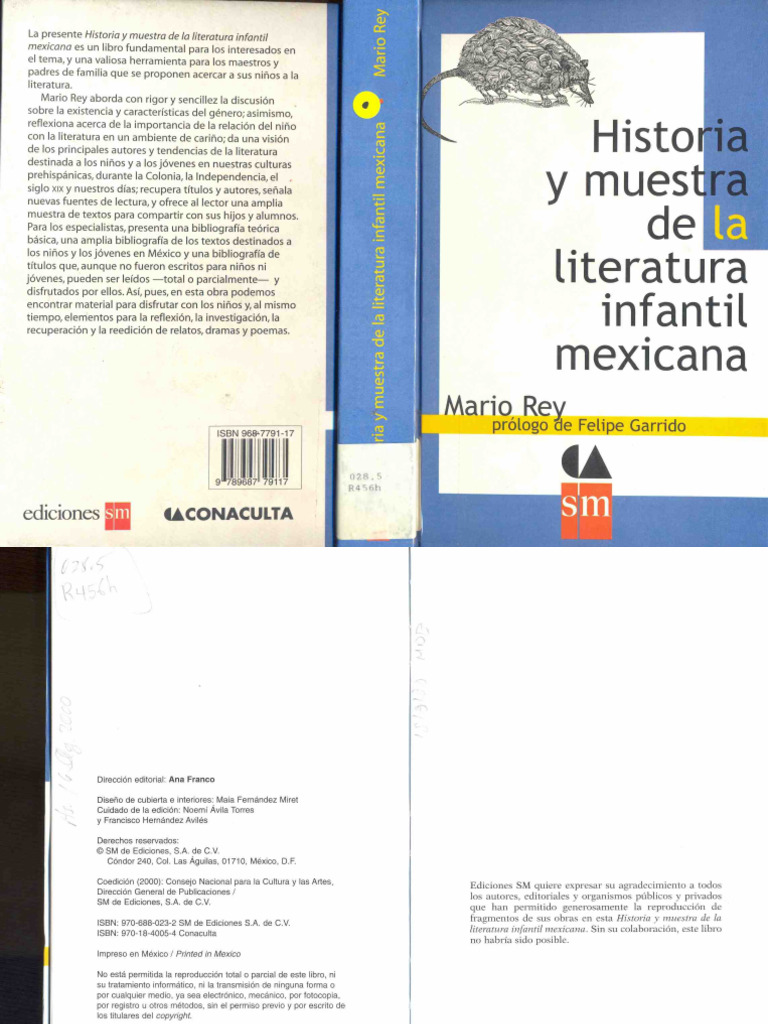 Rey - Historia y Muestra Literatura Inf Mex | PDF