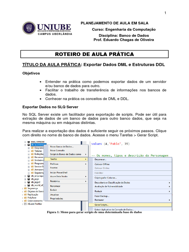 Exportação de Dados no SQL Server | PDF | SQL | Linguagem de script
