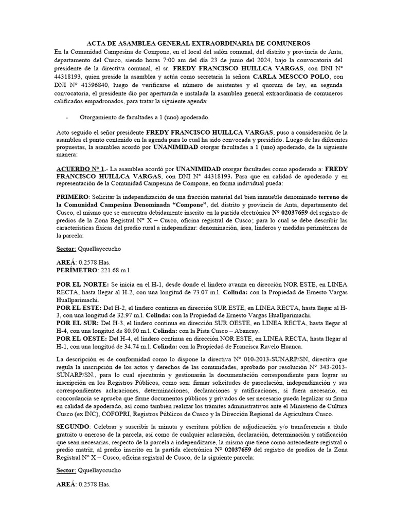 ACTA DE FACULTADES Compone-1 | PDF | Gobierno