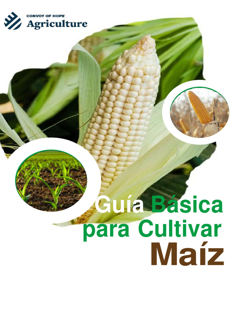 instructivo-maiz-2023-modificado-pdf