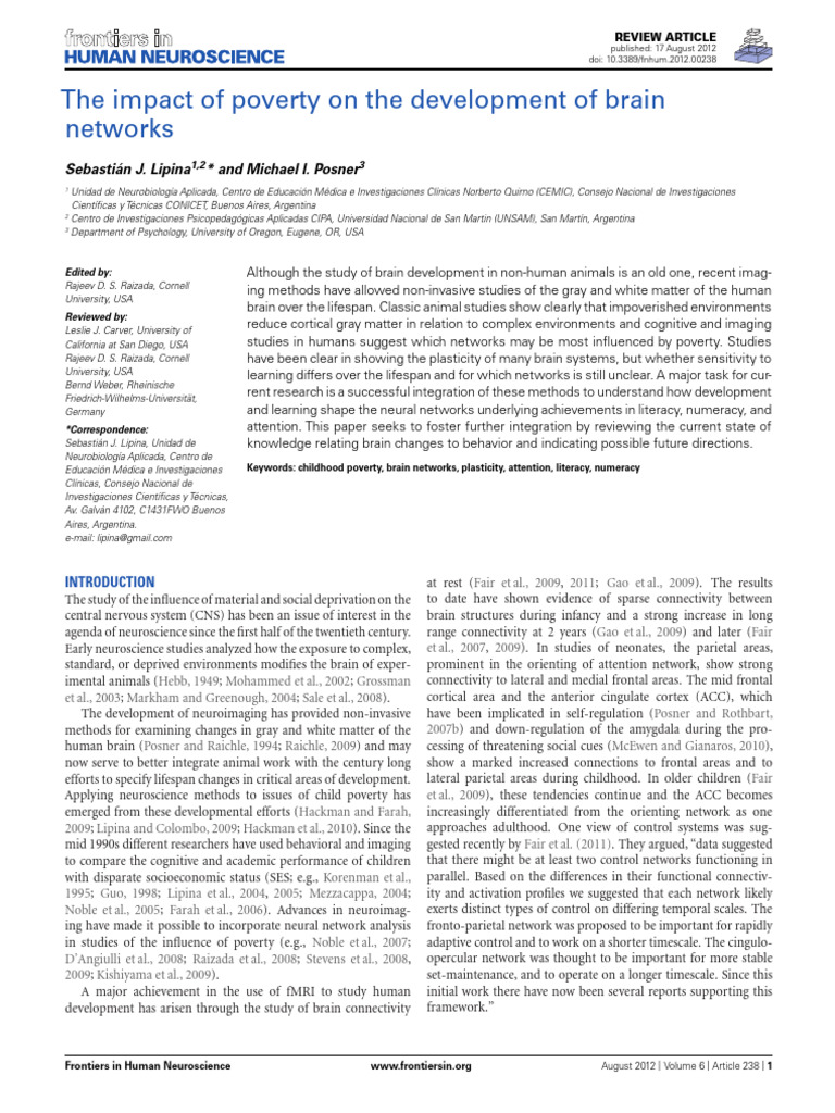 The Impact of Poverty On The Development | PDF | Hippocampus | Memory