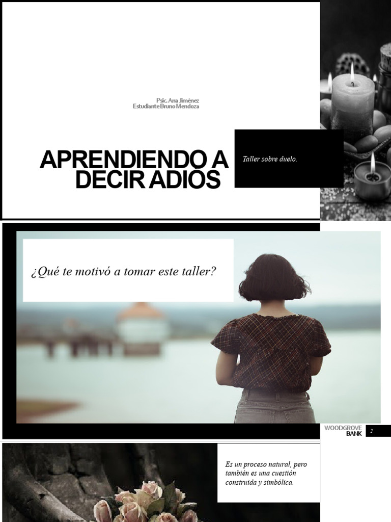 Aprendiendo A Decir Adiós Pdf Dolor Sicología