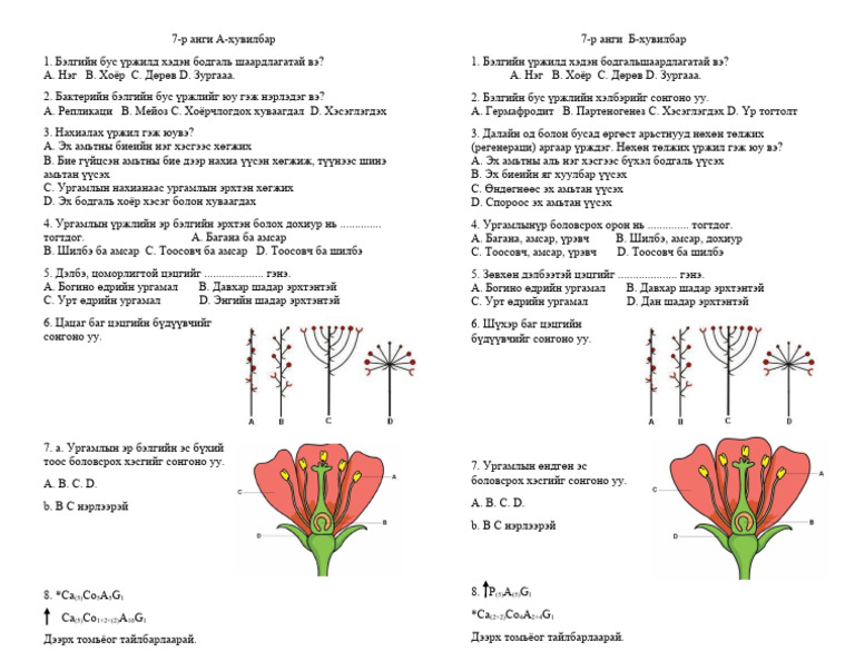 7-r angi 3-р buleg | PDF