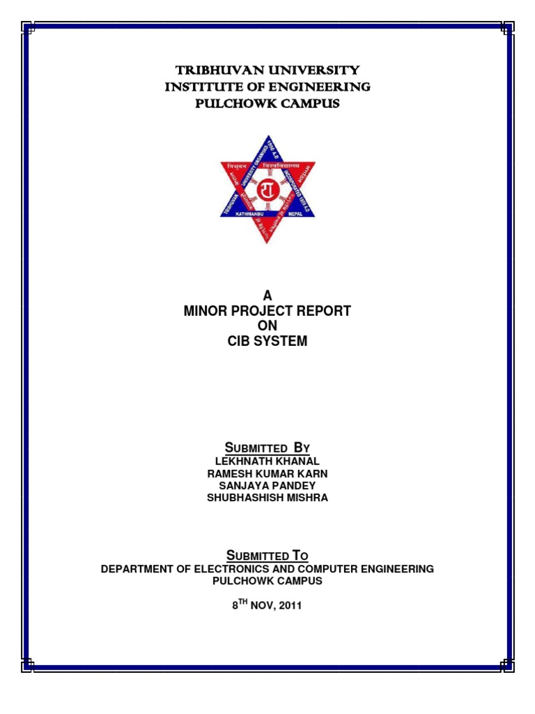 CIB System Project Report | PDF | Areas Of Computer Science | Software