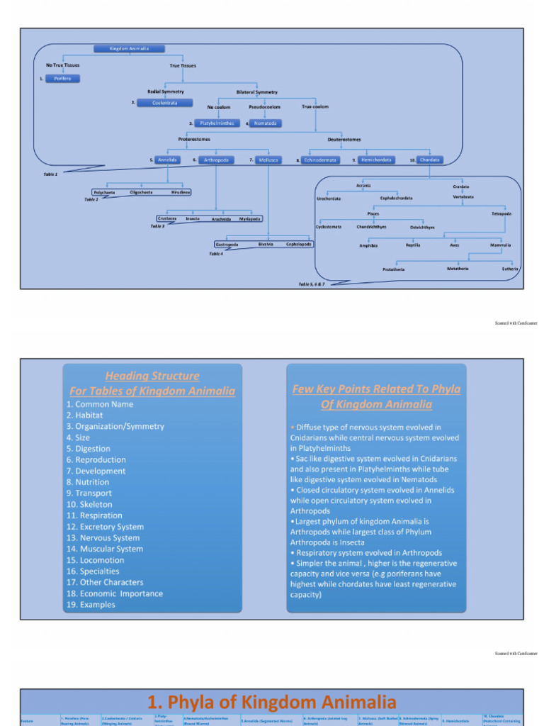 ANIMAL KINGDOM TABLE PDF visual data 8