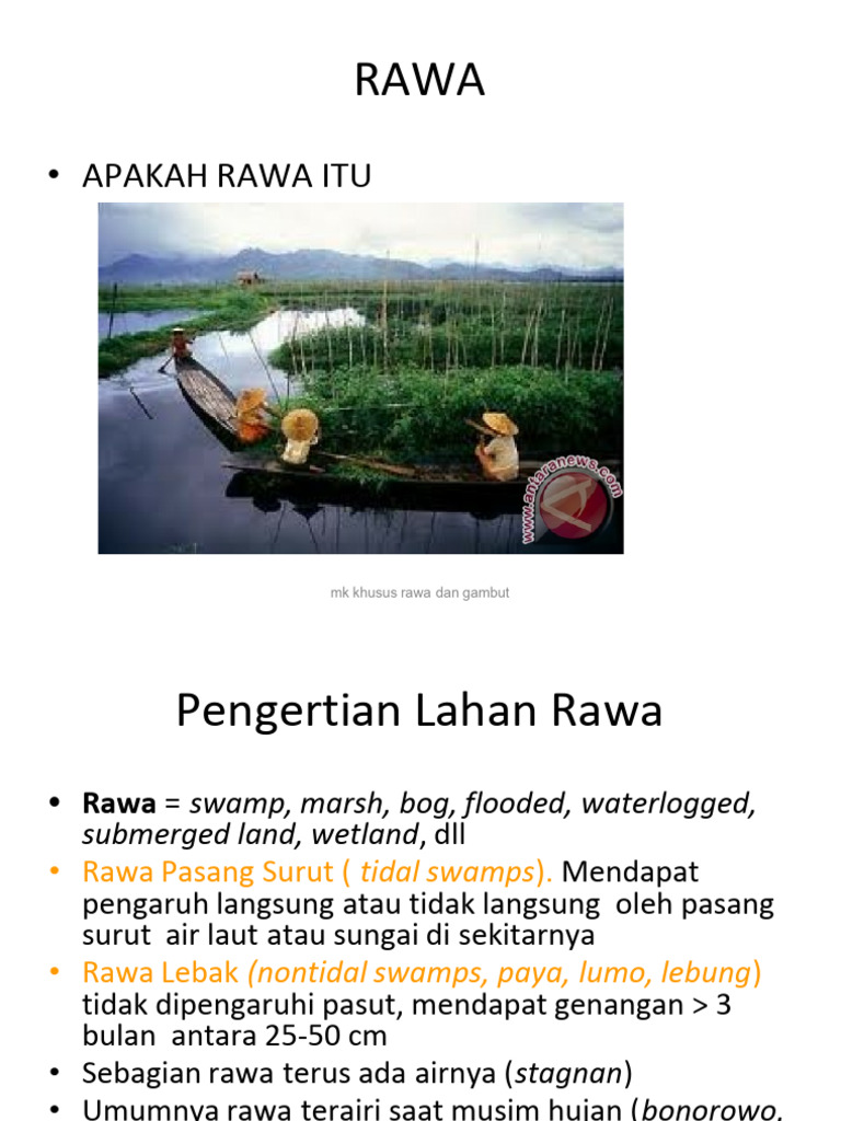 Pengertian dan Deskripsi Rawa di Indonesia | PDF