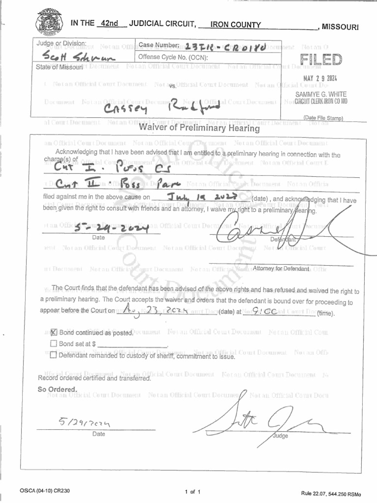 waiver-of-preliminary-hearing-pdf