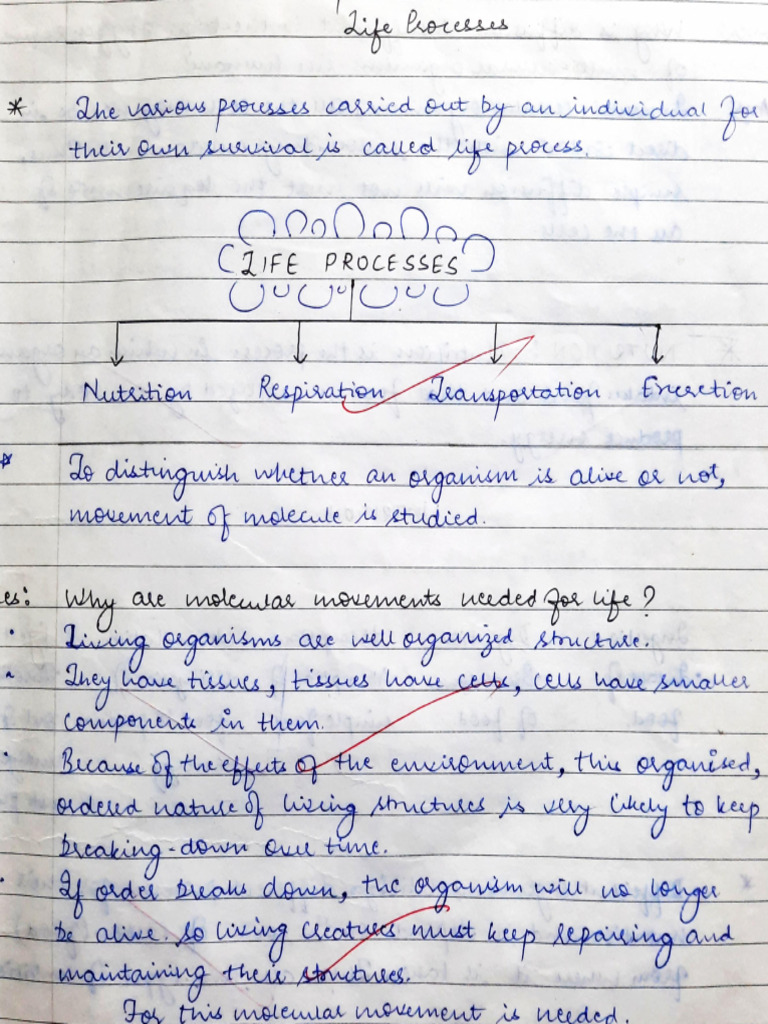 ANIMAL NUTRITION QUESTIONS AND ANSWERS PDF GRADE 10 visual data 8