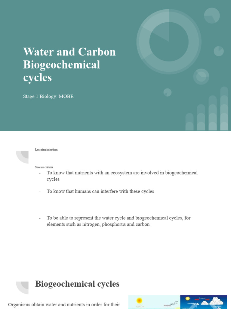 Water And Carbon Biogeochemical Cycles Pdf Water Cycle Water