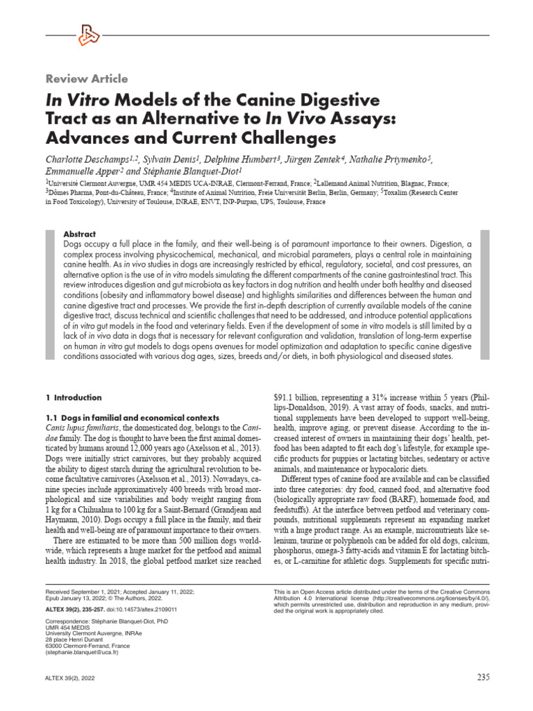In Vitro Canine Digestive Models Review | PDF | Gastrointestinal Tract ...