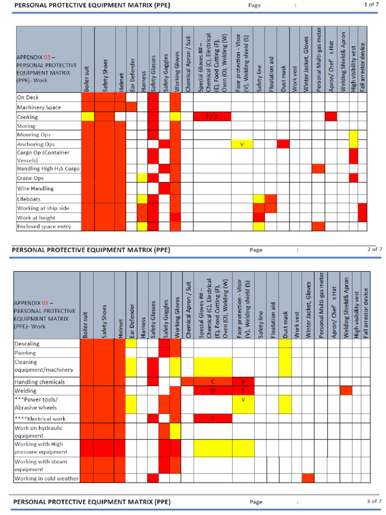 Example PPE Metrix | PDF