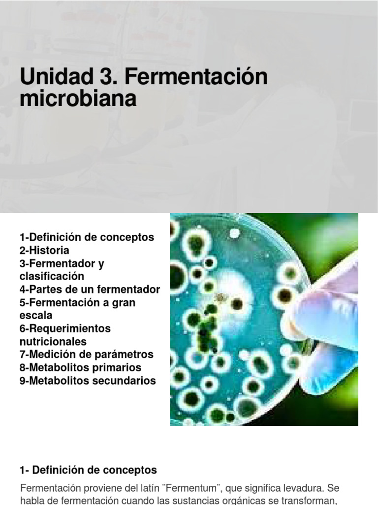 unidad-3-fermentaci-n-microbiana-pdf-fermentaci-n-metabolismo