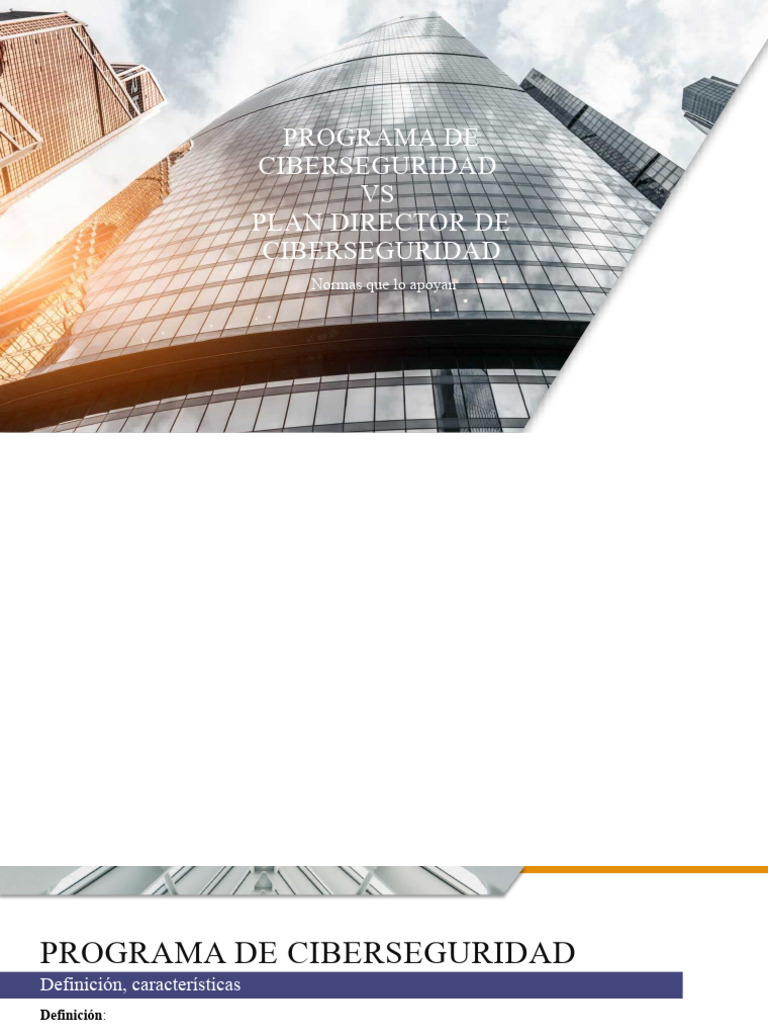 Programa y Plan de Ciberseguridad | PDF | La seguridad informática ...