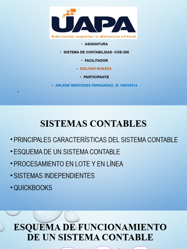 Características de Sistemas Contables | PDF | Contabilidad | Cuentas ...