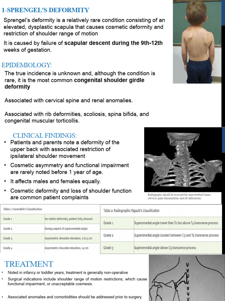 3-Upper Limb Deformities | PDF | Elbow | Musculoskeletal System