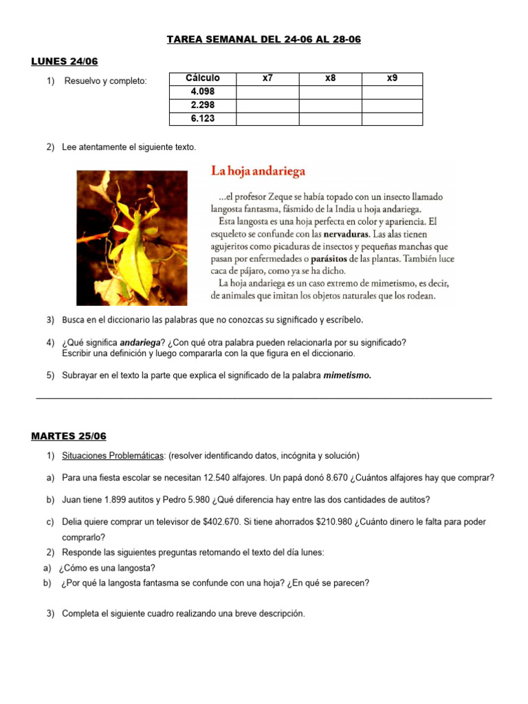 TAREA SEMANAL DEL 24-06 Al 28-06 | PDF