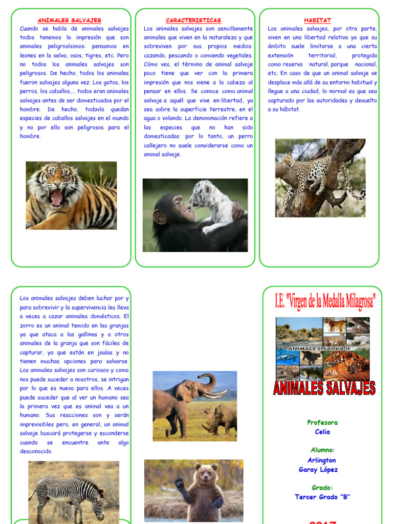 Características y hábitat de animales salvajes | PDF | Domesticación ...