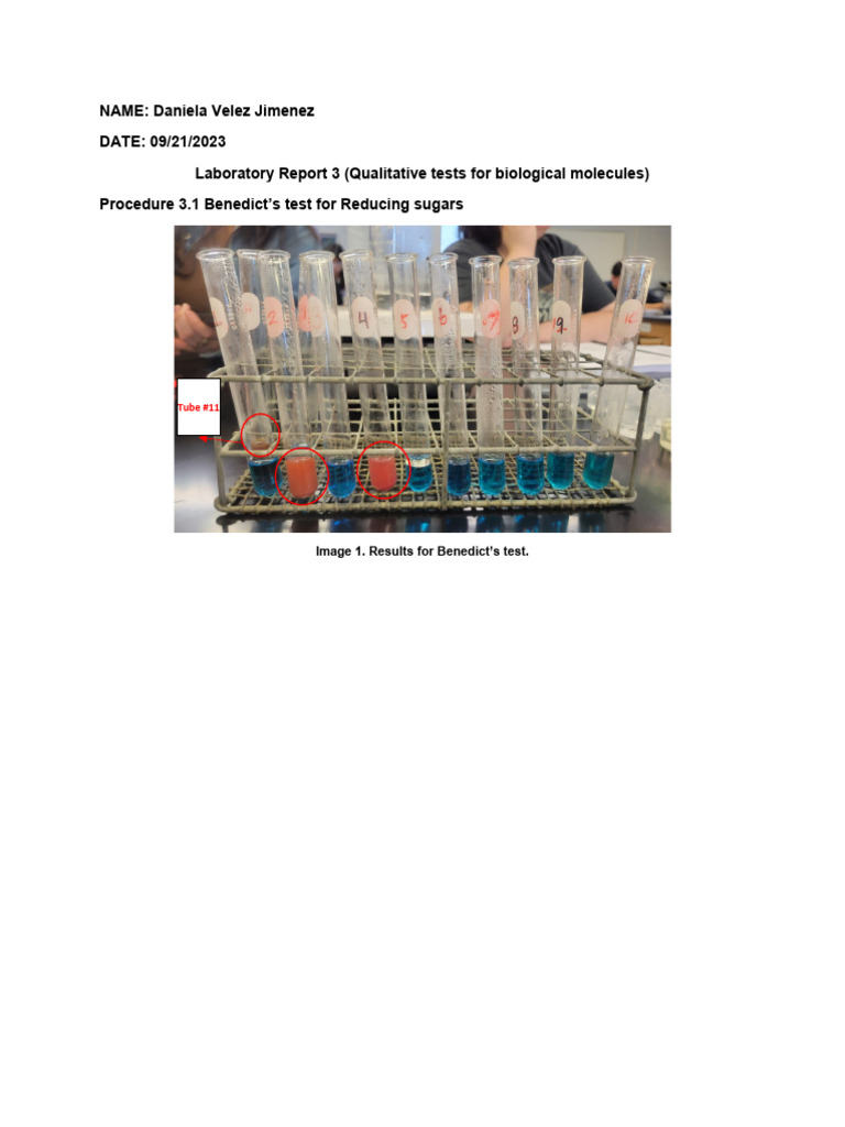 Lab Report 3 | PDF | Starch | Water