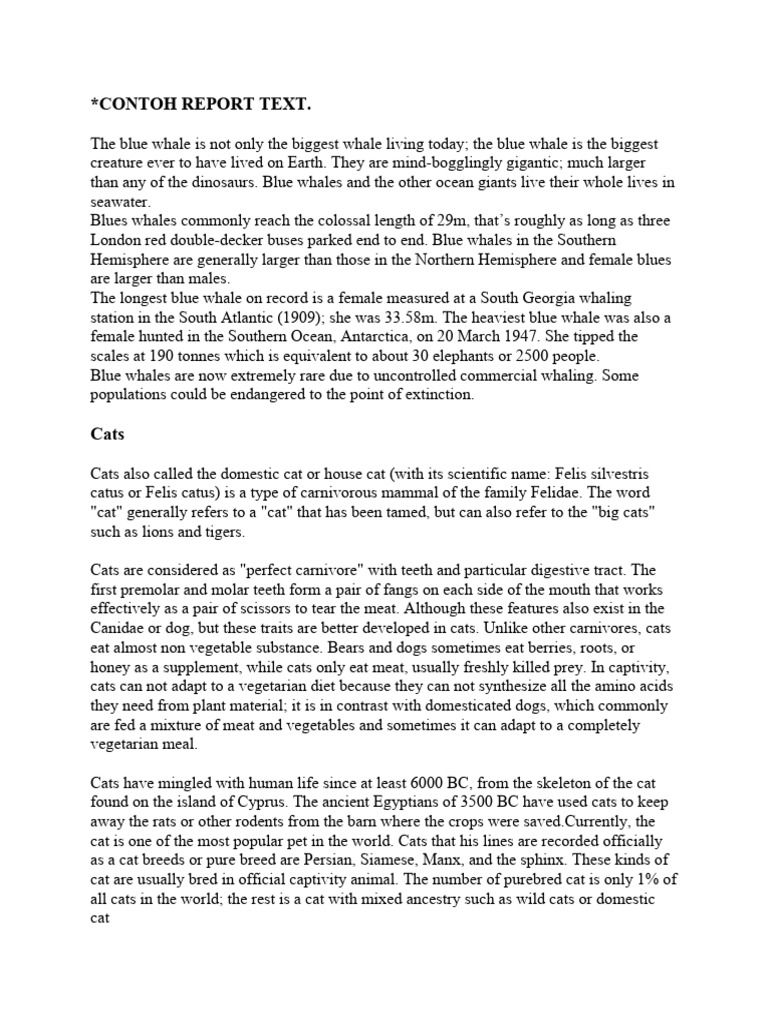 Contoh report text 2 pdf cats zoology